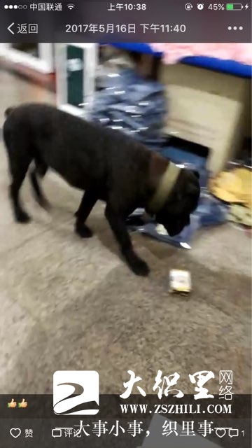 201710101705881507633423671061.jpg