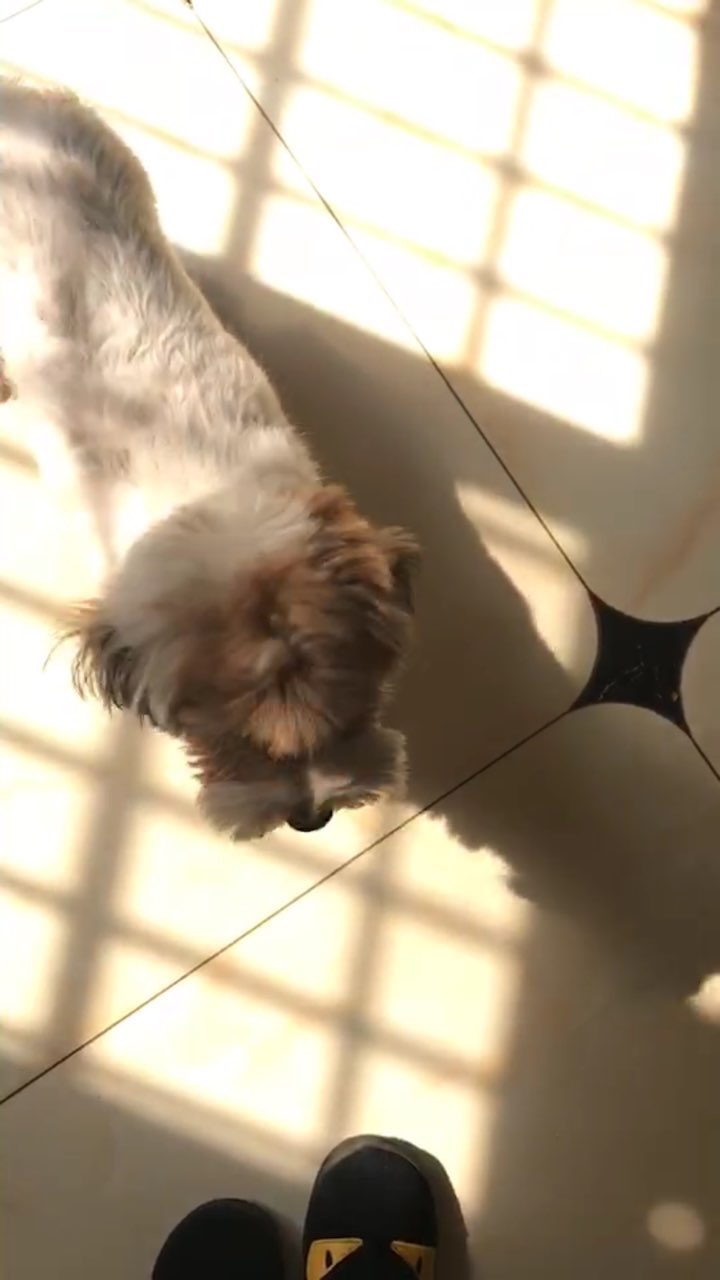 201712161734491513410751969105.jpg
