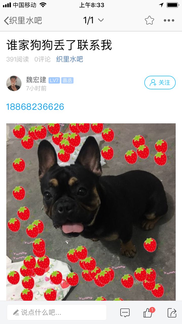 201805211670911526862815631381.jpg