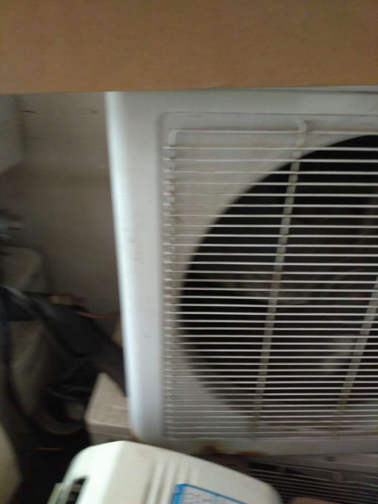 20171211_168915_1512948355871.jpg