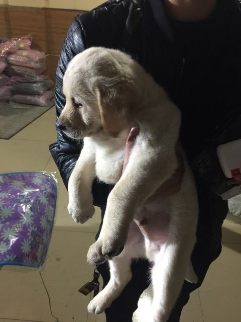 201801111719731515630164802176.jpg